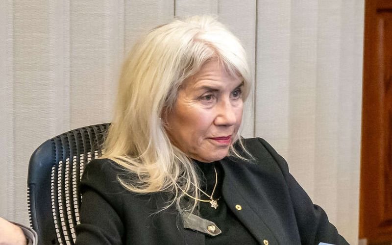 Sue Ann Arnall
