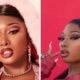 Joshua Pete and Megan Thee Stallion: What People Should Know