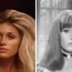 Robyn Hilton Biography: Career, Marriage, Children, and Life Today