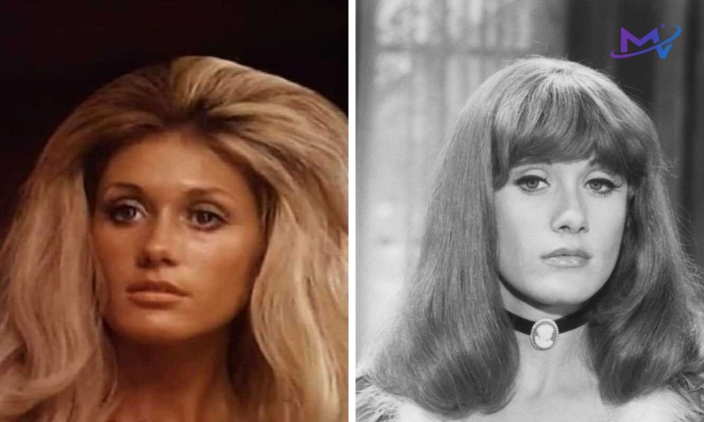 Robyn Hilton Biography: Career, Marriage, Children, and Life Today